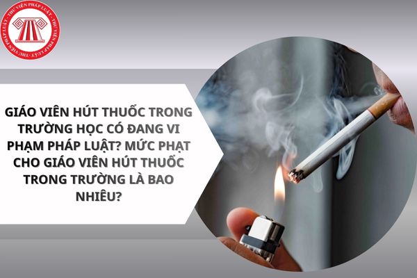 Pháp luật