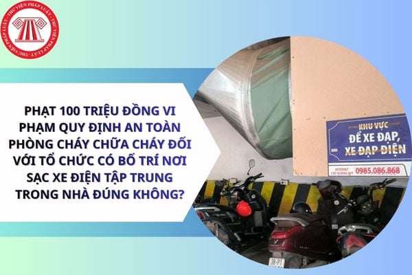 Pháp luật