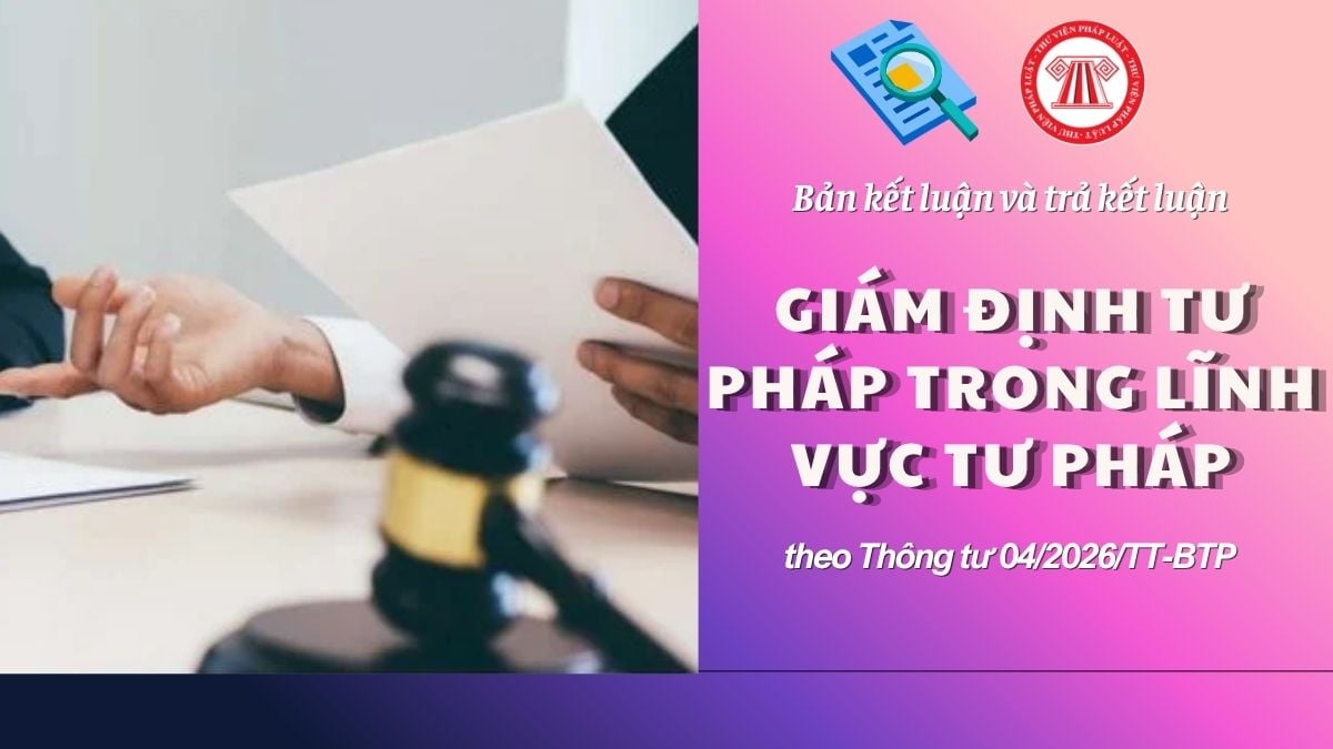 Pháp luật