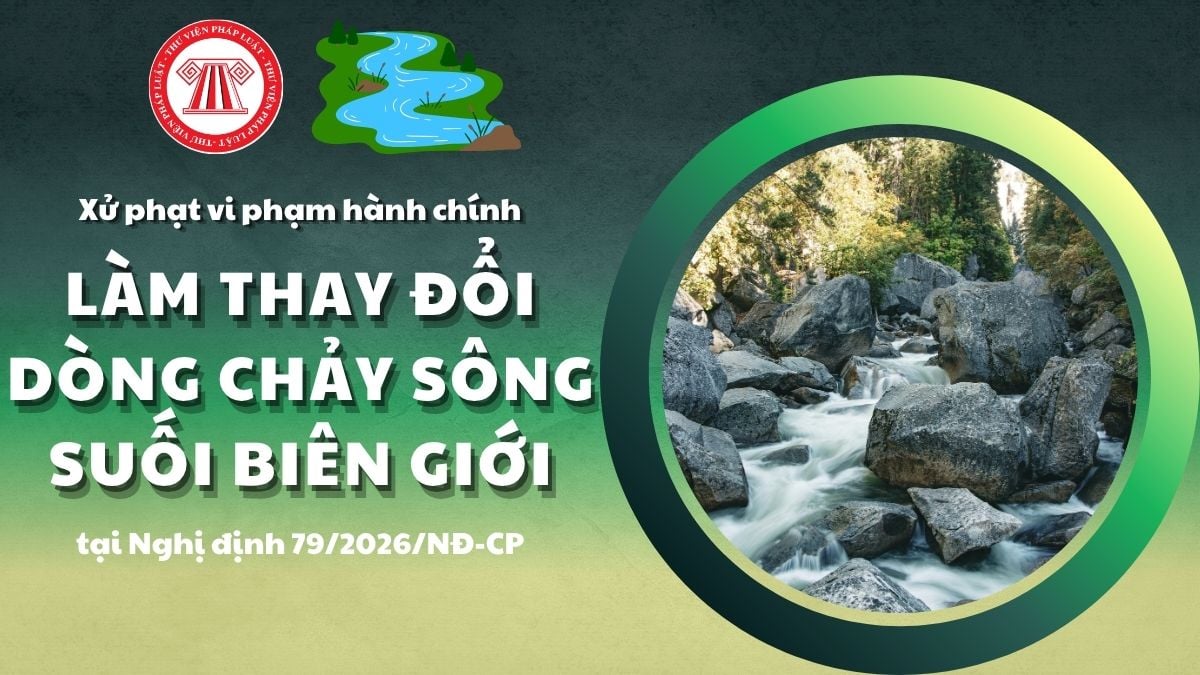Pháp luật
