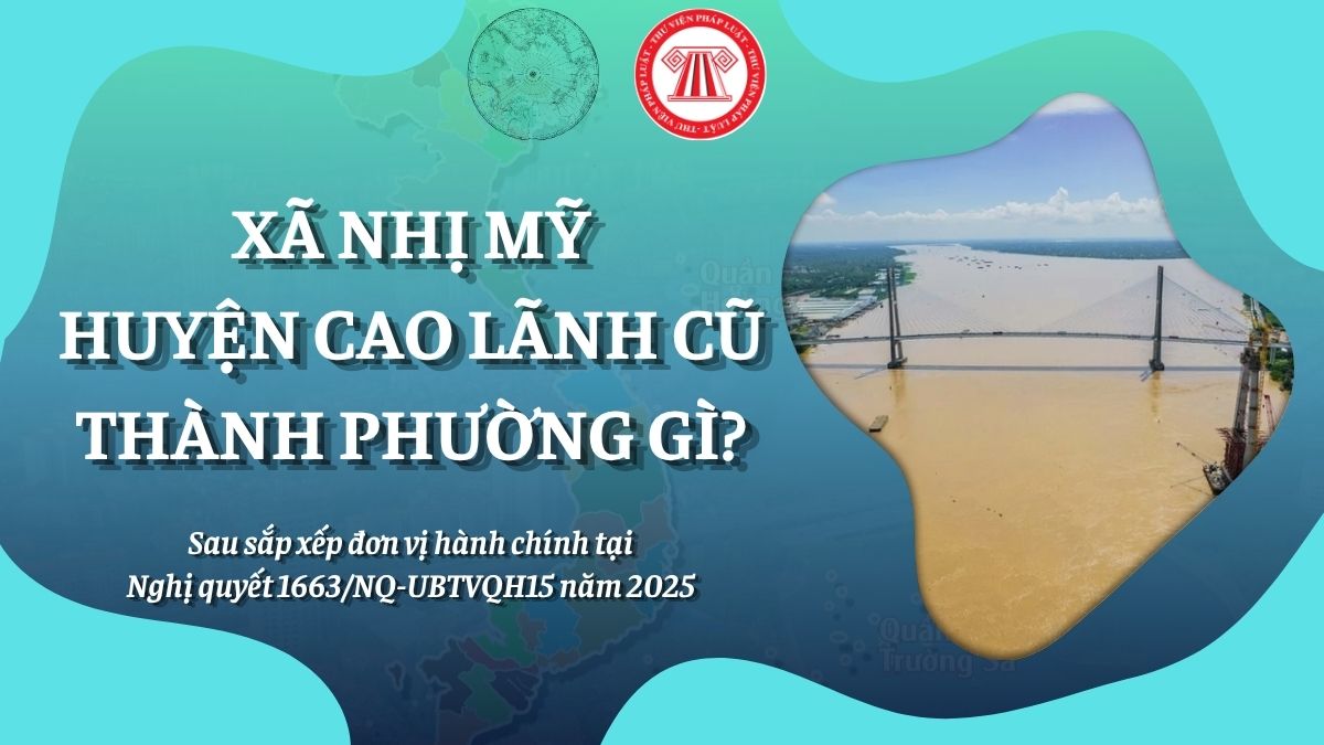 Pháp luật