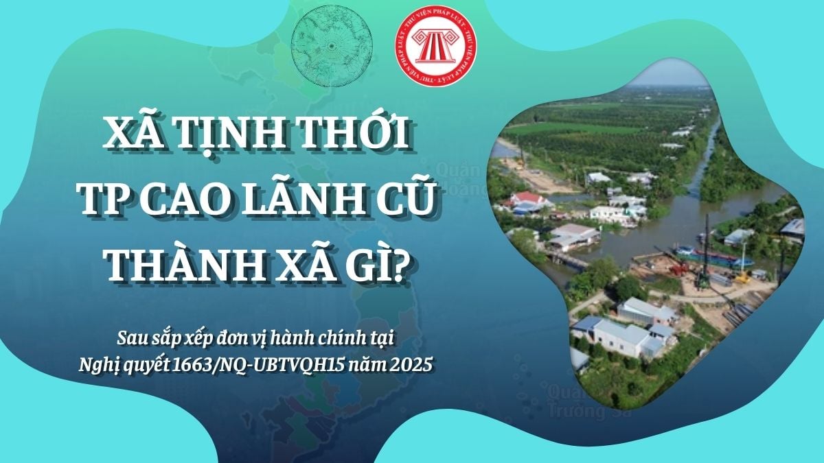 Pháp luật