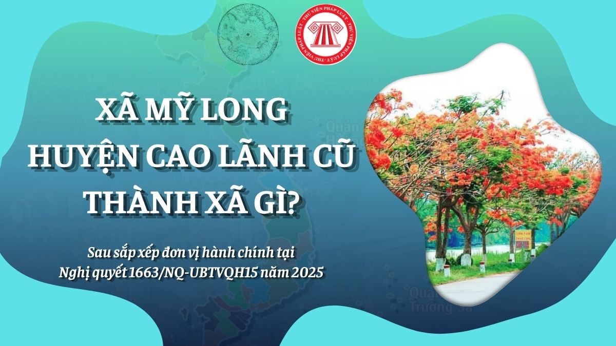 Pháp luật