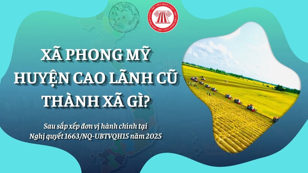 Pháp luật