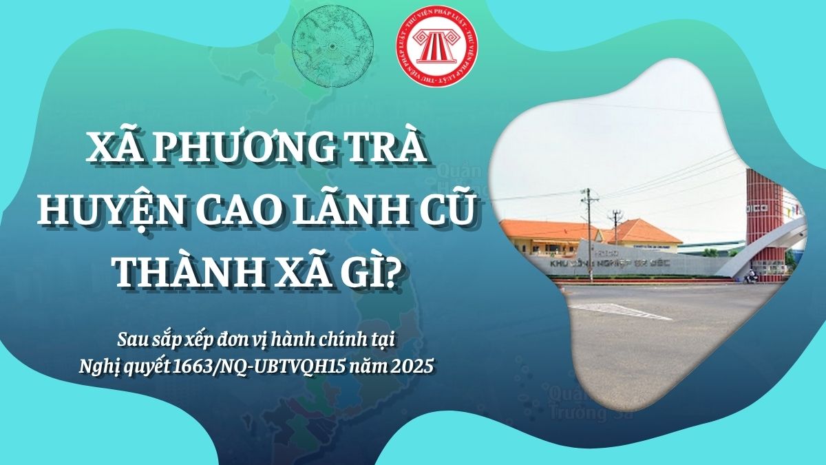 Pháp luật