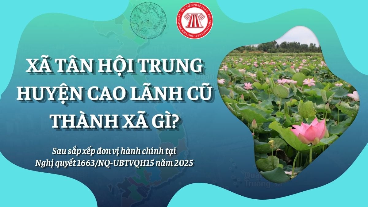 Pháp luật
