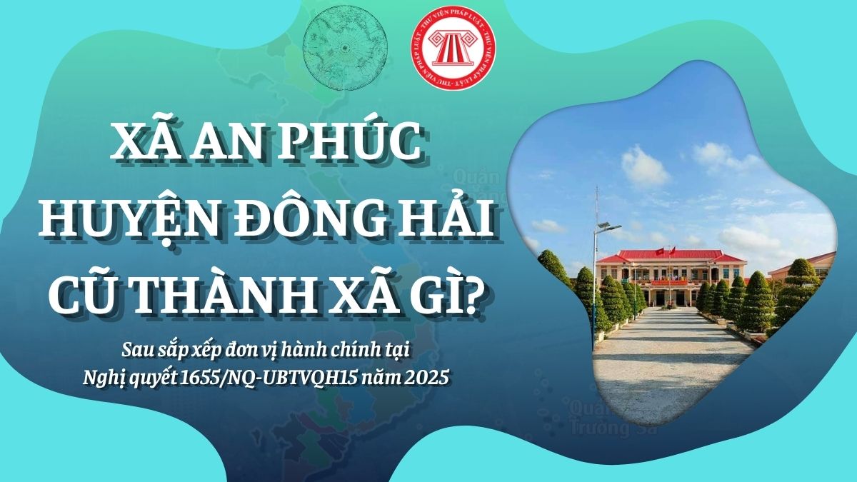 Pháp luật