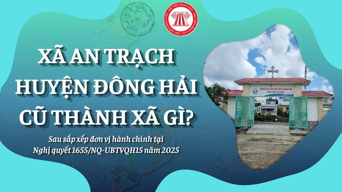Pháp luật