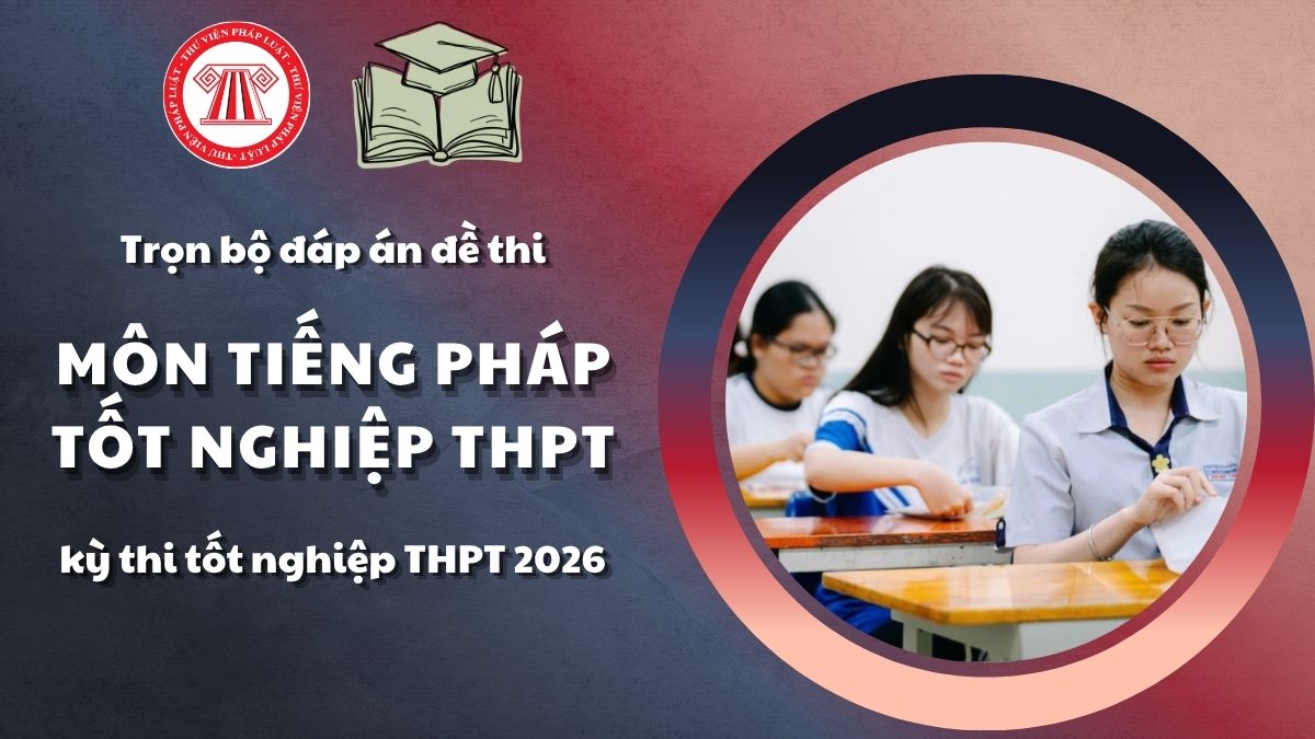Pháp luật