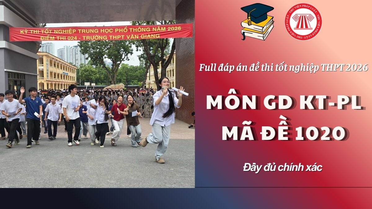 Pháp luật