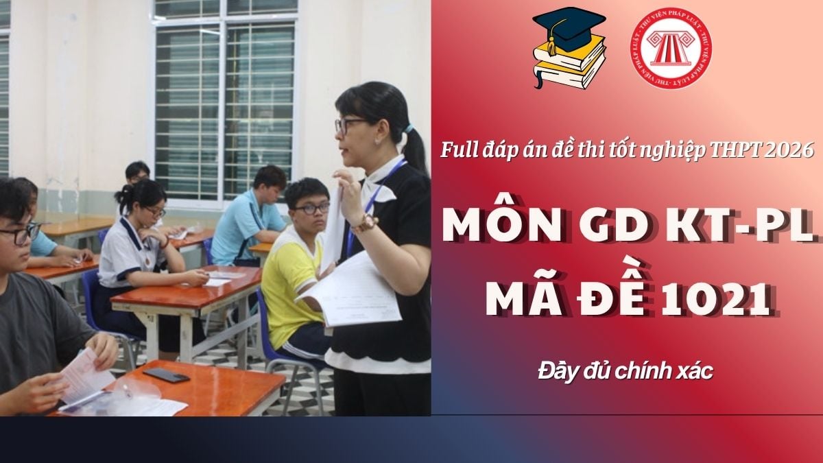 Pháp luật