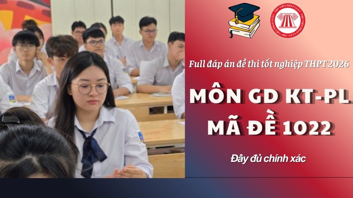 Pháp luật
