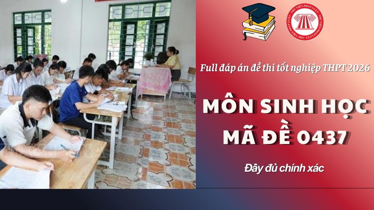 Pháp luật