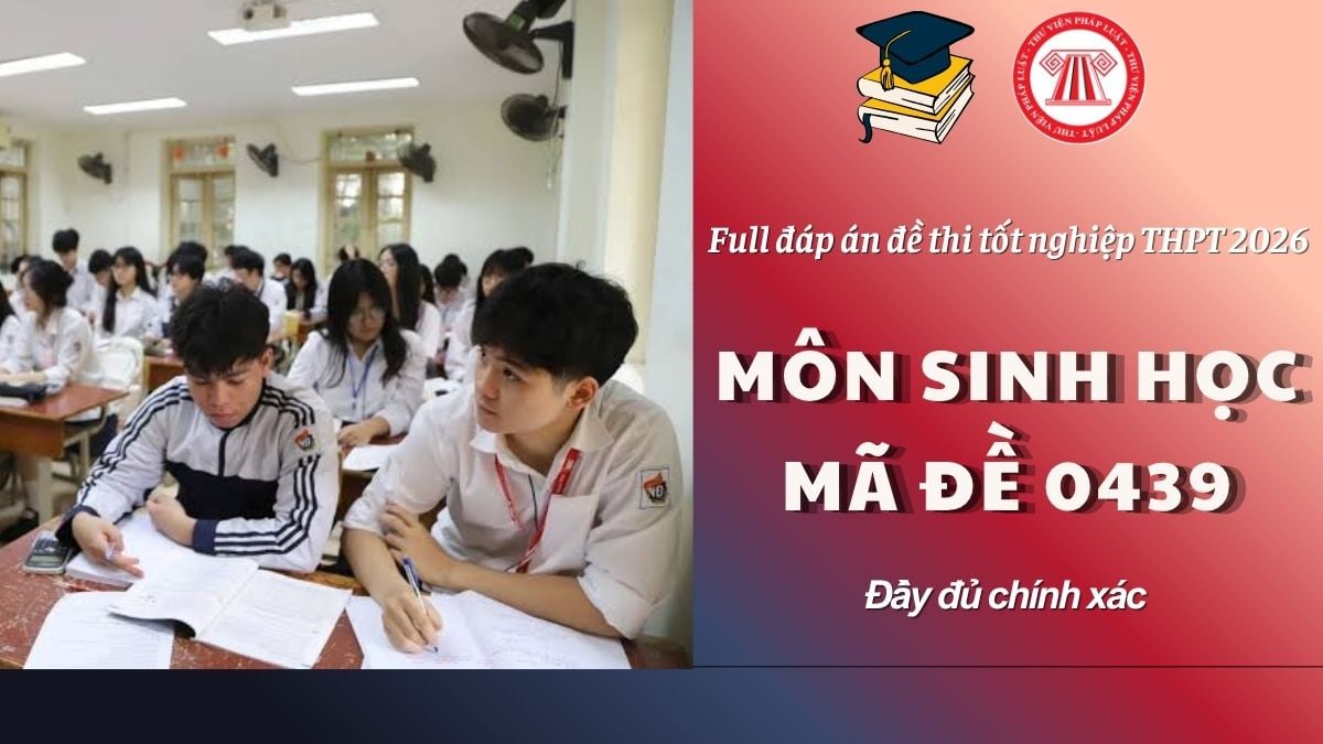 Pháp luật