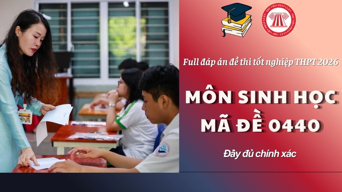 Pháp luật