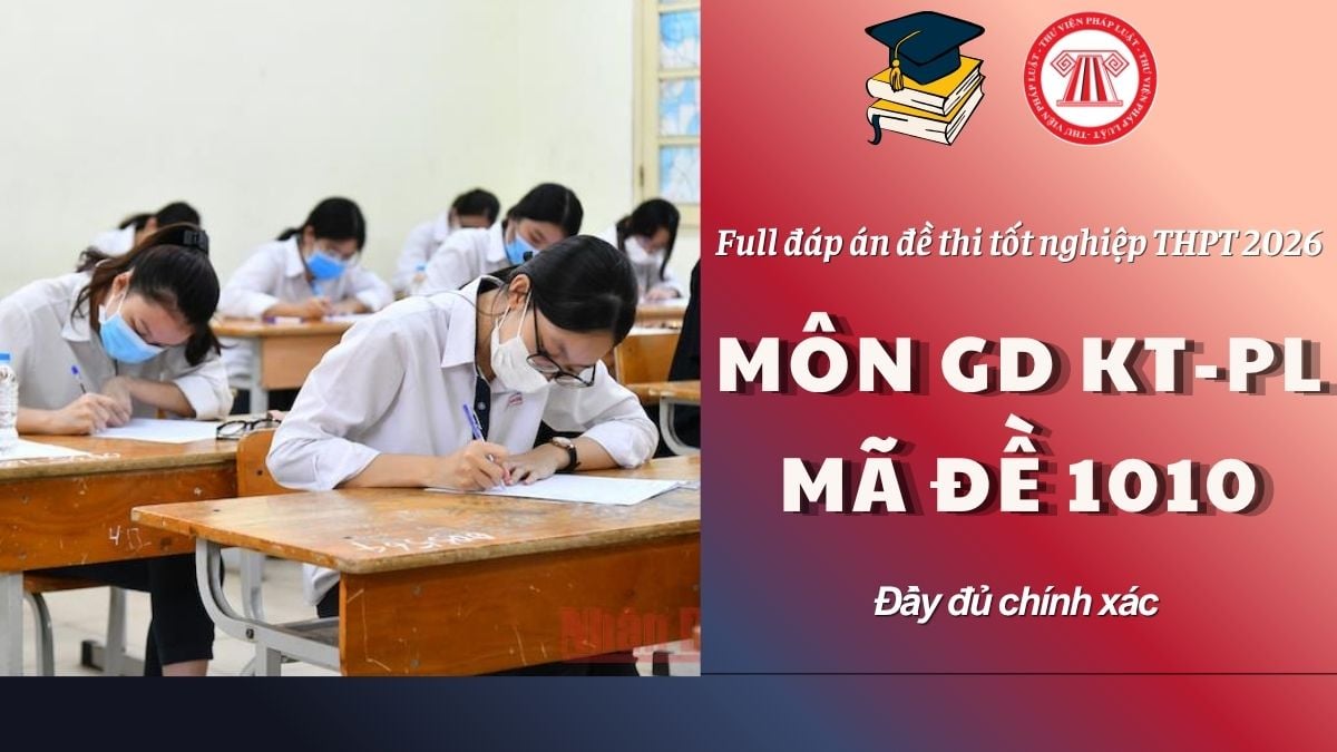 Pháp luật