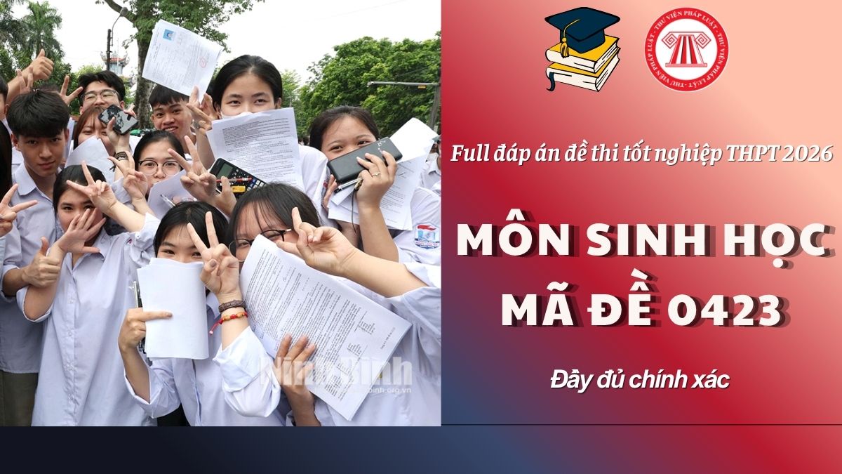 Pháp luật