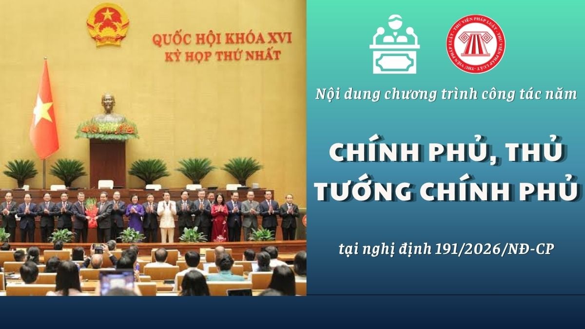 Pháp luật
