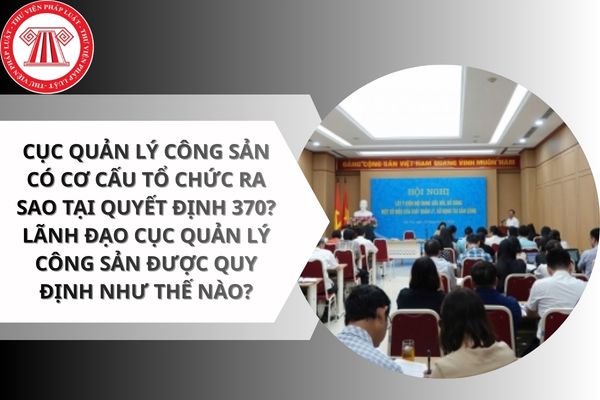 Pháp luật