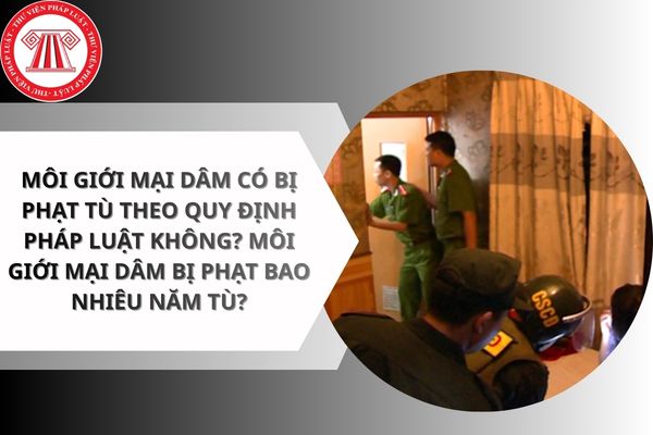 Pháp luật