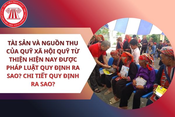 Pháp luật