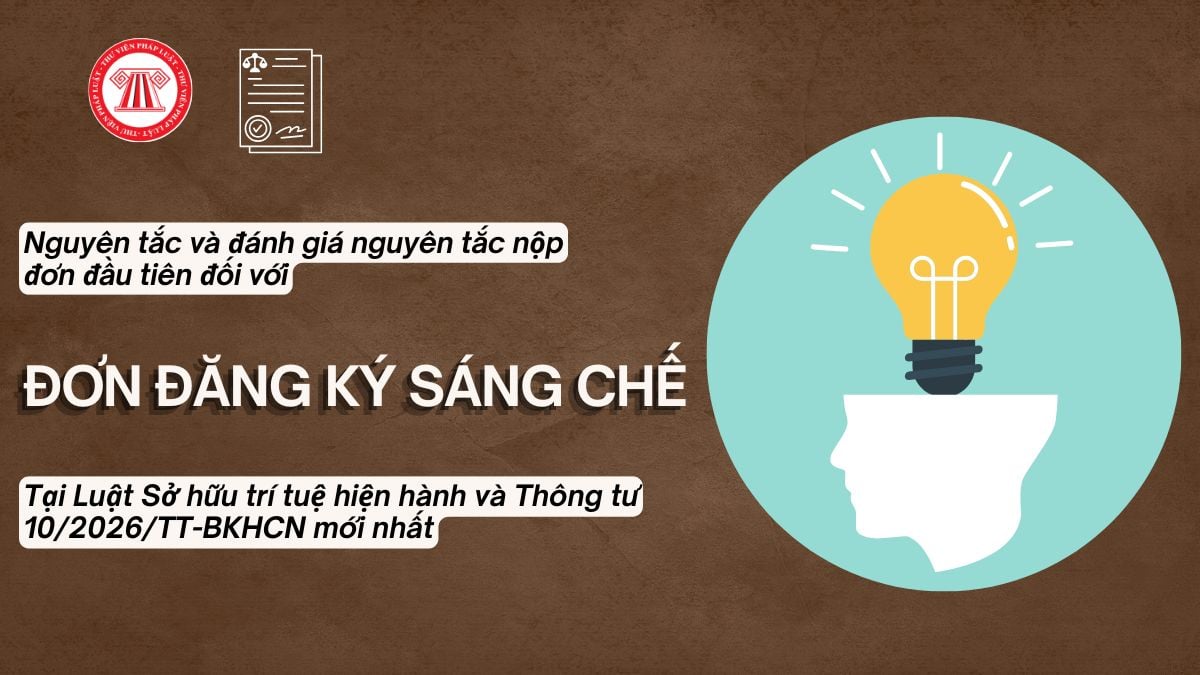 Pháp luật