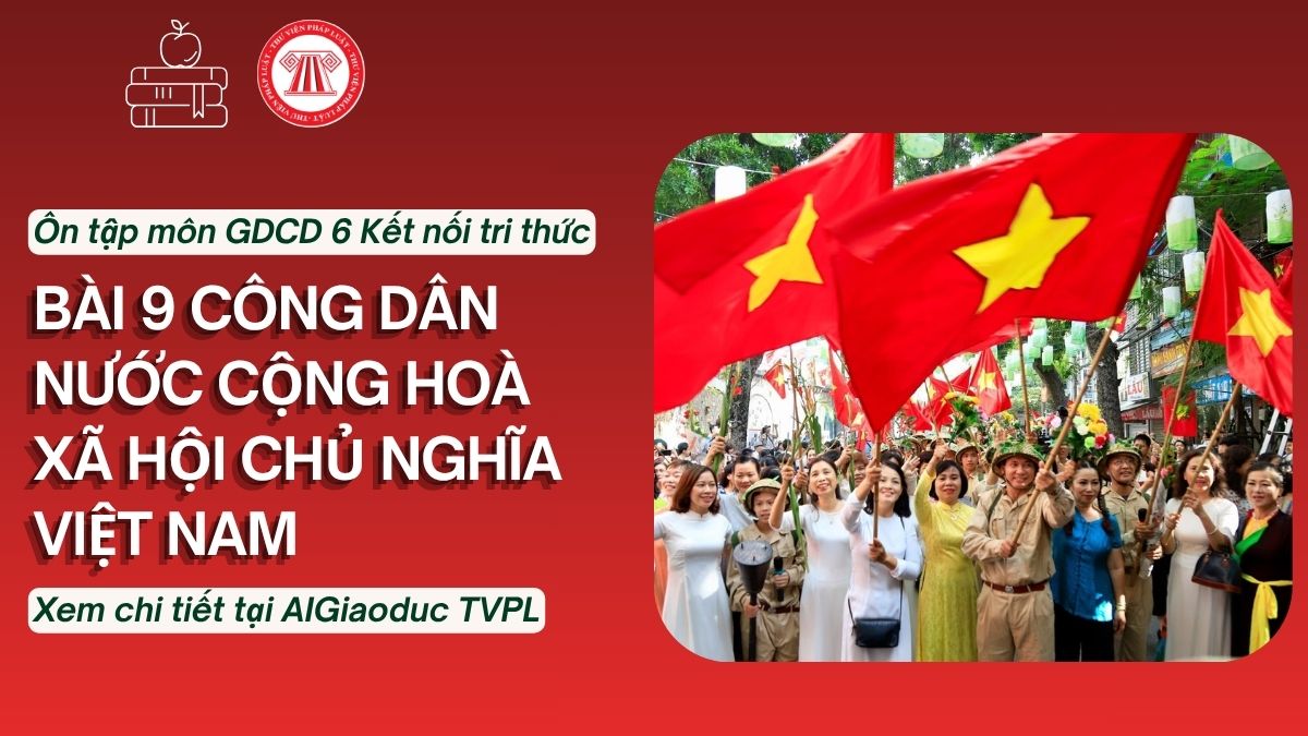 Pháp luật