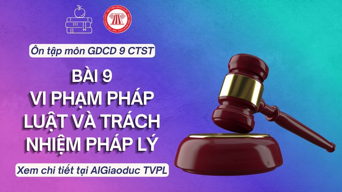 Pháp luật
