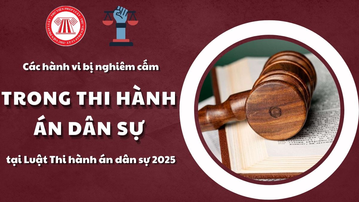 Pháp luật