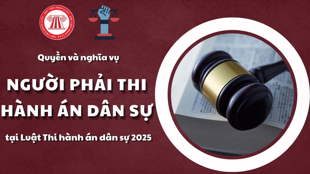 Pháp luật