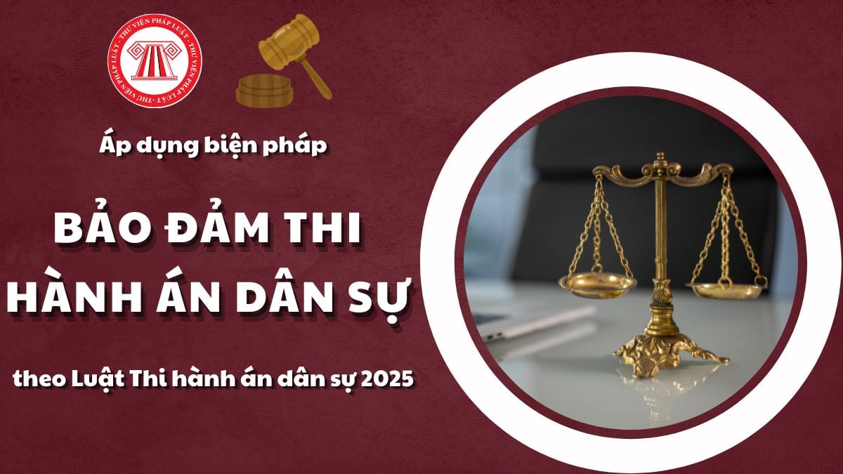 Pháp luật
