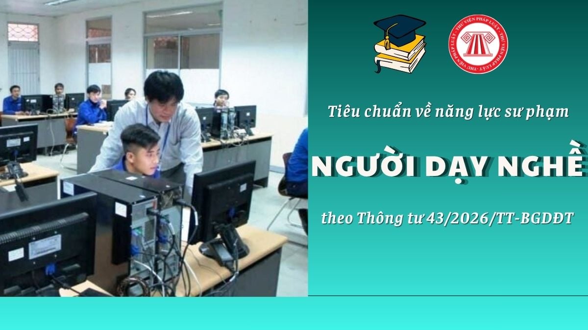 Pháp luật