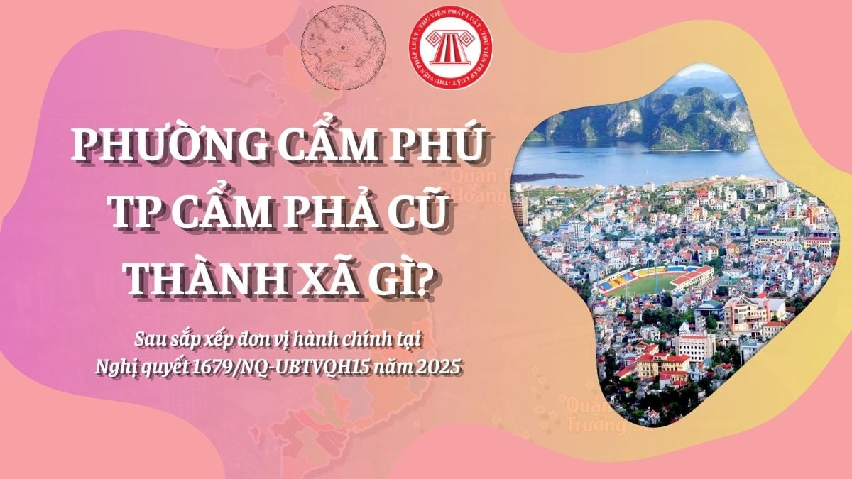 Pháp luật
