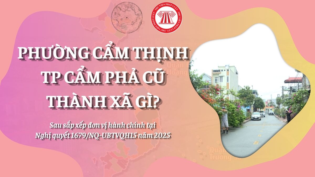 Pháp luật
