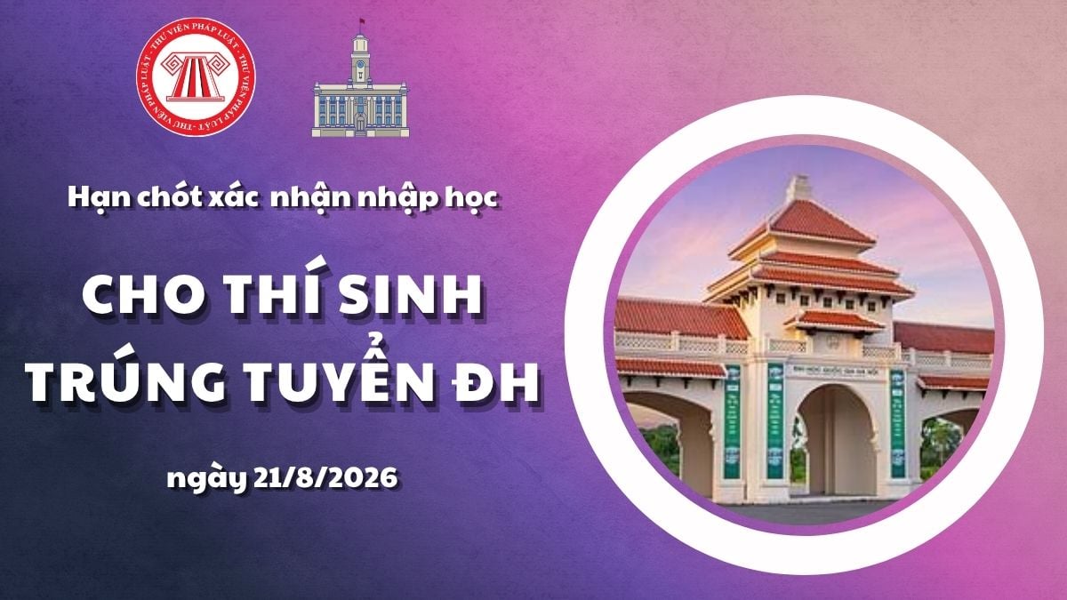 Pháp luật