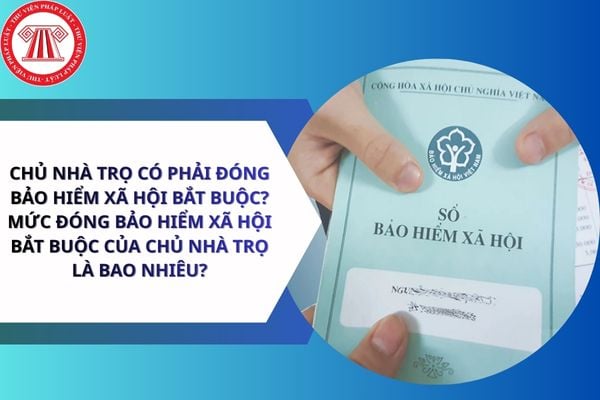 Pháp luật