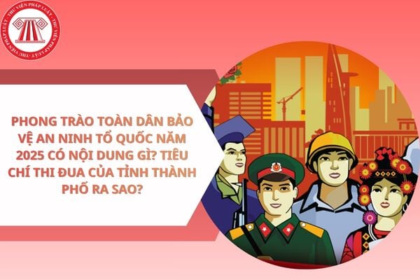 Pháp luật