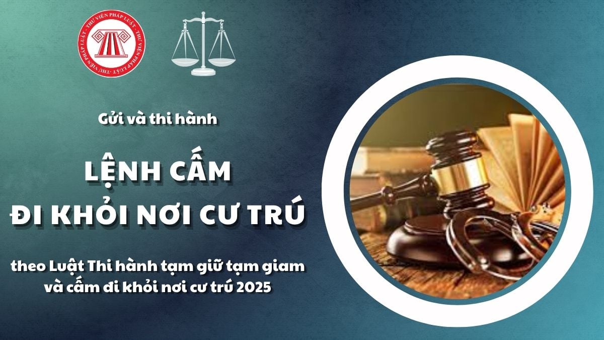 Pháp luật