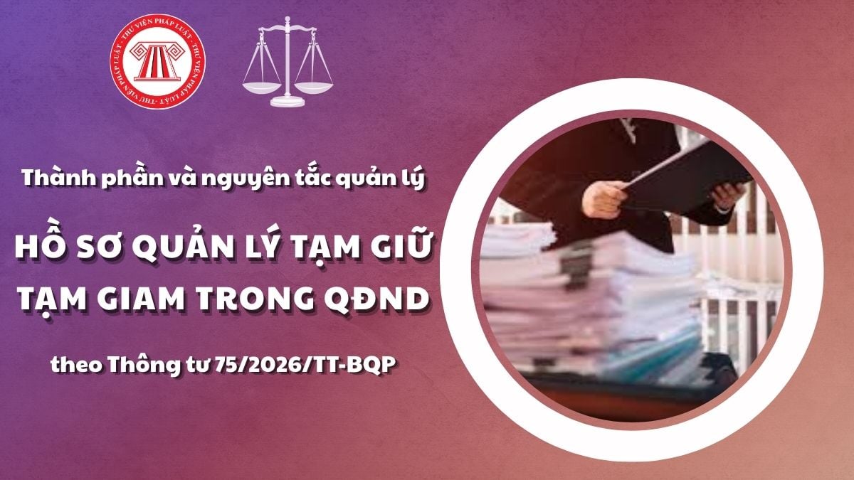 Pháp luật