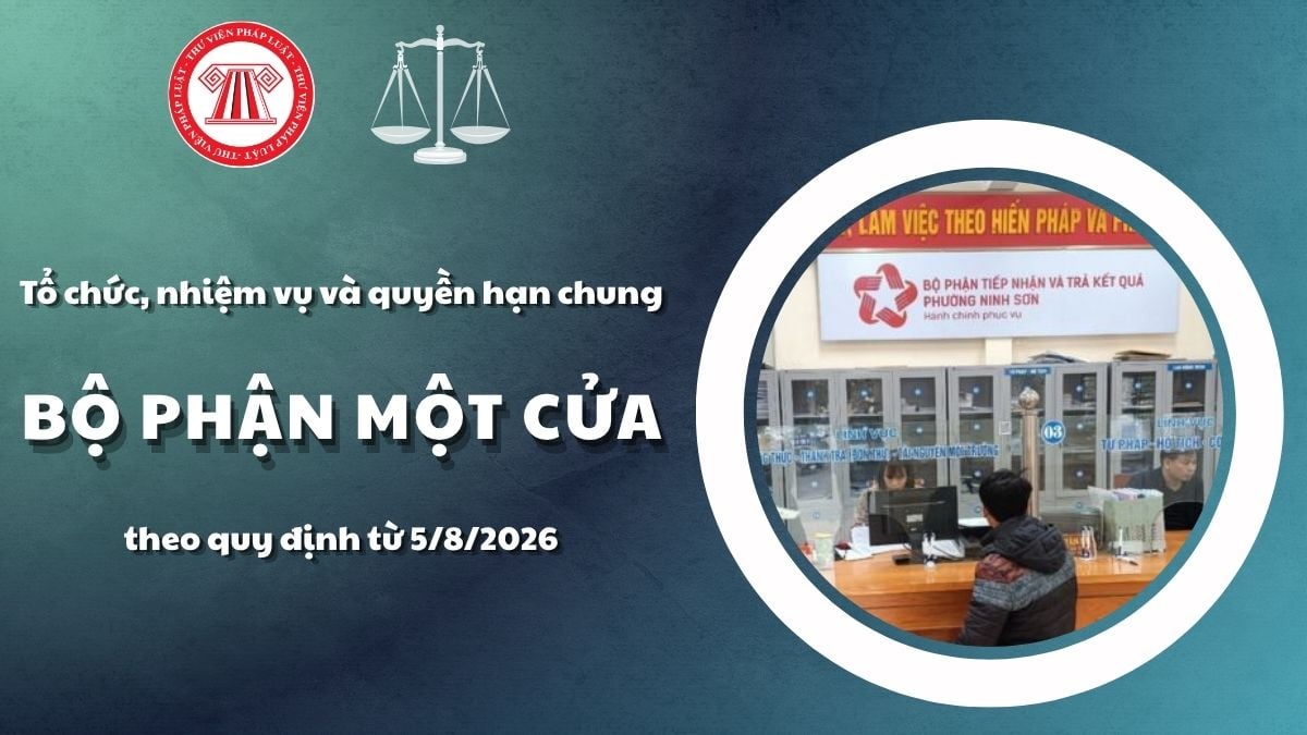 Pháp luật