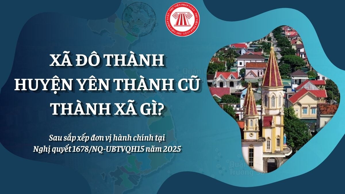 Pháp luật