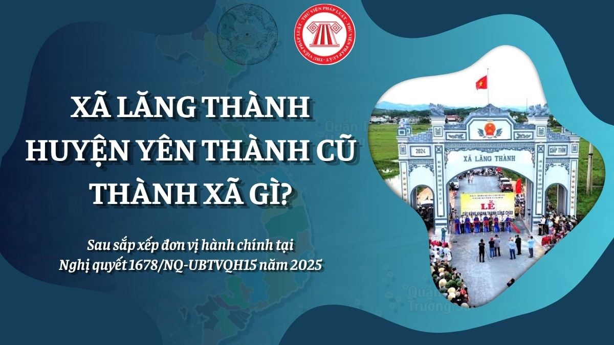 Pháp luật
