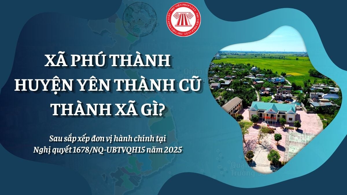 Pháp luật