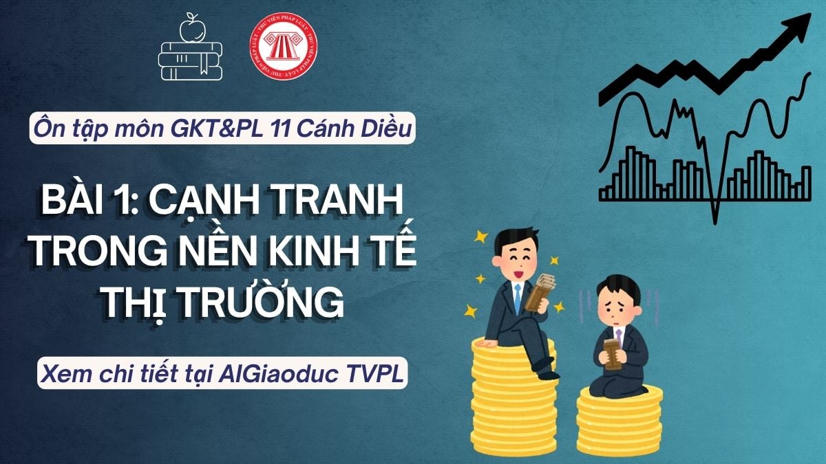 Pháp luật