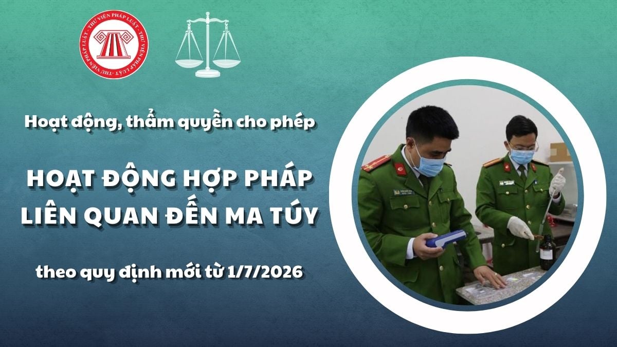 Pháp luật