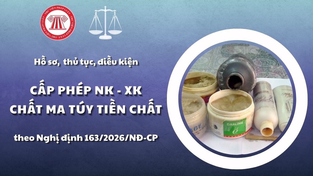 Pháp luật