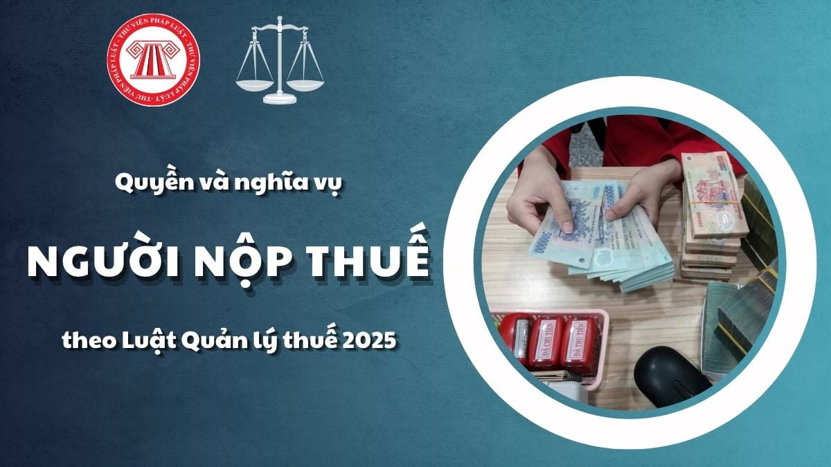 Pháp luật