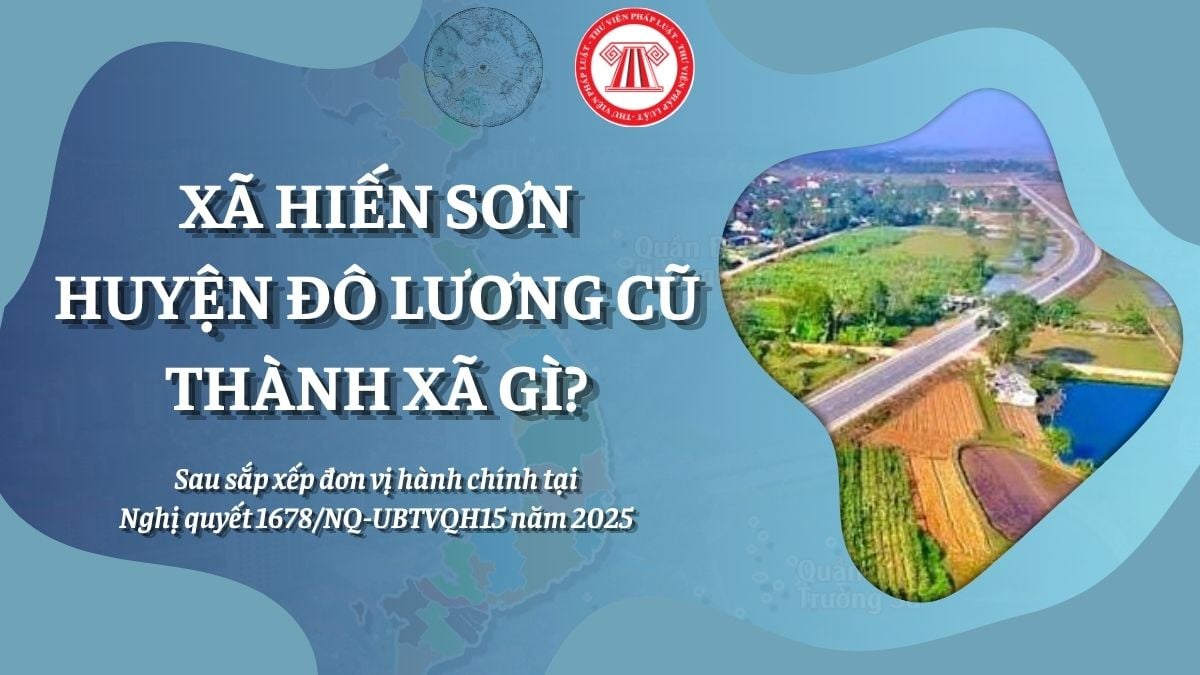 Pháp luật