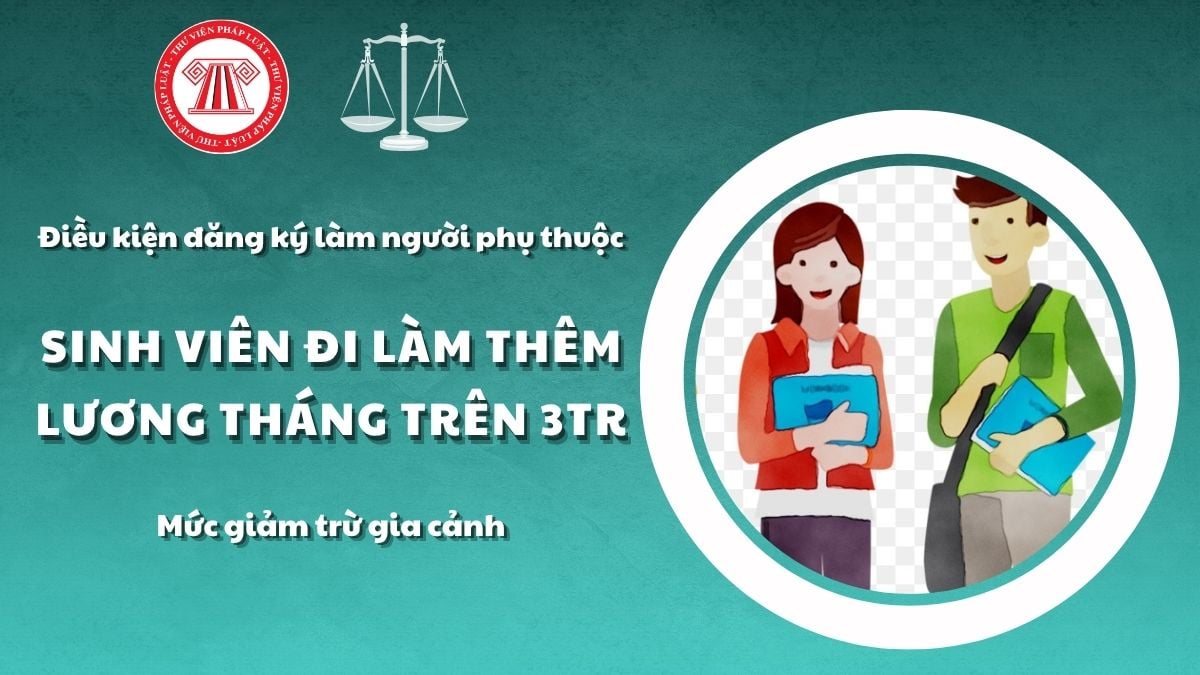 Pháp luật