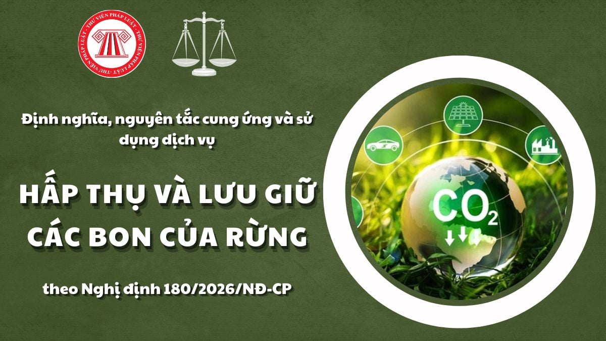 Pháp luật